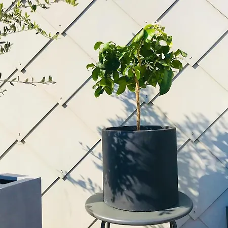 شقة Au-mer Maison M